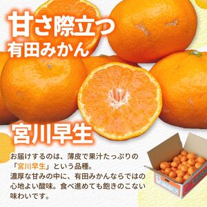 有田 みかん 10kg M・L / 温州みかん 有田みかん 甘い 和歌山 柑橘 ※2026年12月上旬～翌年1月中旬に順次発送 【ymk004-10-mlB】