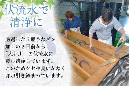 うなぎ 蒲焼き 国産 雌うなぎ 約120g 3尾 計約360g [マルニうなぎ加工 静岡県 吉田町 22424459]