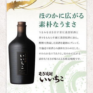 いいちこ民陶くろびん 25度(720ml×6本)酒 お酒 むぎ焼酎 720ml 麦焼酎 いいちこ アルコール 飲料 常温【106105500】【酒のひろた】
