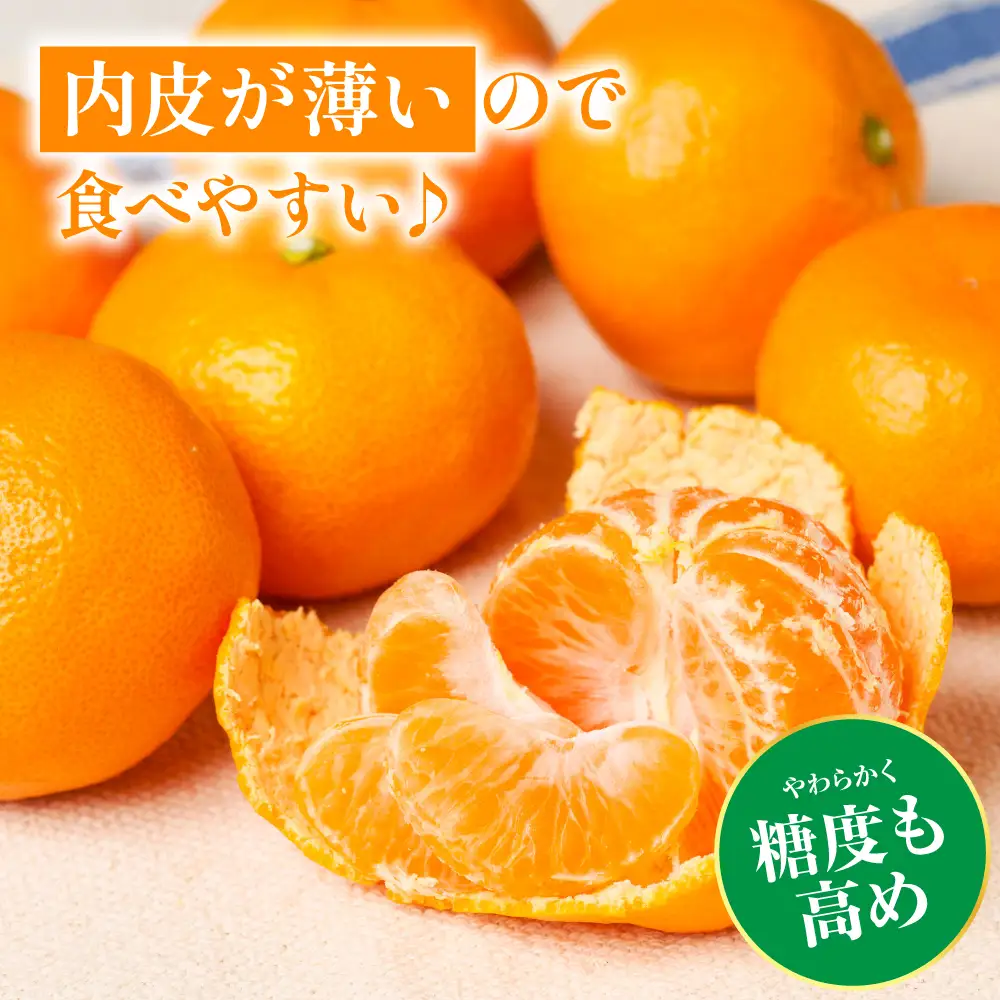 【先行予約】 みかん 八代市東陽産山本さん家の「熊本EC11みかん」 約5kg みかん 柑橘 【2026年11月上旬より順次発送】