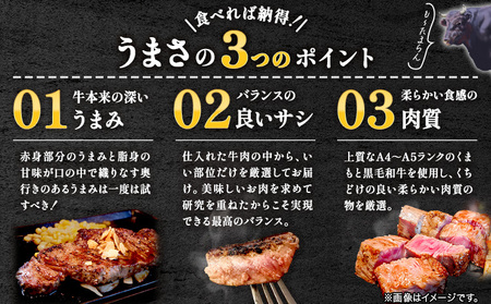 【A4～A5】くまもと黒毛和牛 サーロインステーキ  500g 《30日以内に出荷予定(土日祝除く)》 牛肉 くまもと黒毛和牛 黒毛和牛 冷凍庫 サーロイン ステーキ Esprit