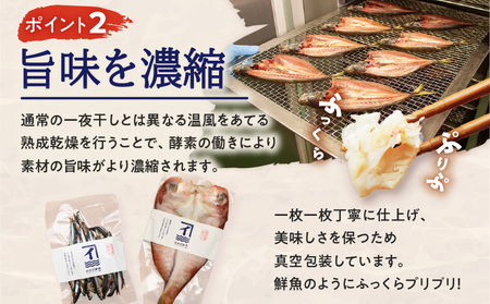 季節の 一夜干し 詰合せ （6種） K294-001 魚 冷凍