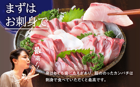 鹿児島県産 カンパチ 約3.5kg 刺身用 ブロック（ ロイン ） 活〆 ※ 真空包装 K294-003_03 魚