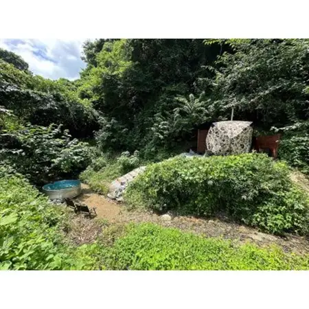 MIDORITO SAUNA 貸切アウトドアサウナ「HANARE」2.5時間利用券 ペアチケット_旅行券・チケット   _【配送不可地域：離島・沖縄県】【1588287】