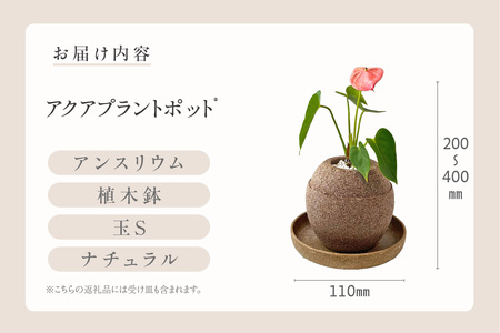 アクアプラントポット®　玉Ｓ 植木鉢　アンスリウム（2087）