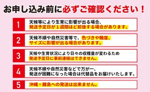 No.2965 ししどりんご園　りんご「サンふじ」家庭用　約10kg箱入【2026年度発送】