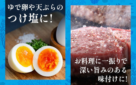 石垣の塩 500g×2 計1kg ｜ 沖縄 石垣 塩 調味料 海塩 SI-94