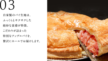 アップルパイ （ ホール 直径 20ｃｍ ） 自家製 ケーキ [BL001tu]