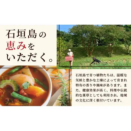 ドラゴンペッパー　15g　瓶入×3本　PN-3