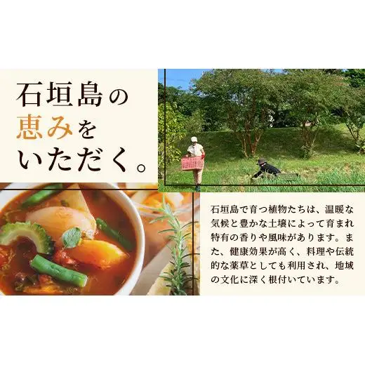 チャンプルの素　60g　袋入×2袋　PN-5