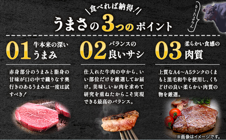  【A4～A5】くまもと黒毛和牛 ヒレステーキ 450g (150g×3枚) 《30日以内に出荷予定(土日祝除く)》 牛肉 くまもと黒毛和牛 黒毛和牛 冷凍庫 Esprit