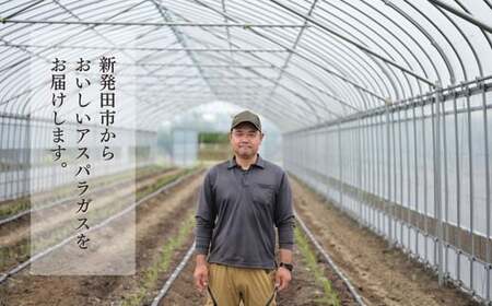 先行予約 アスパラガス 800g 令和8年産 アスパラ アスパラ アスパラ アスパラ アスパラ アスパラ アスパラ JA001_01