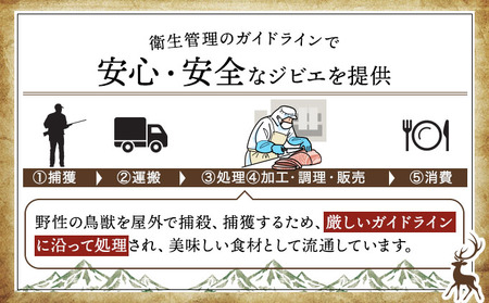 【定期便6回】鹿肉ソーセージ「山の恵みと大地の香り」スパイシー3本×2袋 [103-t06-a006]