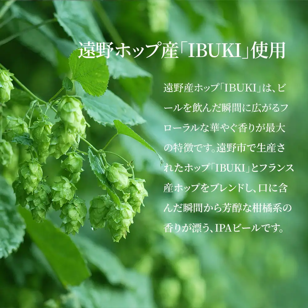fn-58-006 仙人秘水ビール12本セット 上閉伊酒造 クラフトビール 仙人秘水 ホップ BBQ 缶
