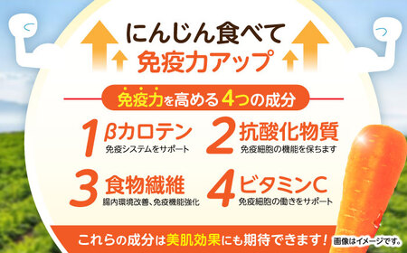 【訳あり】滝さんのにんじん 10kg AHCU005 にんじん