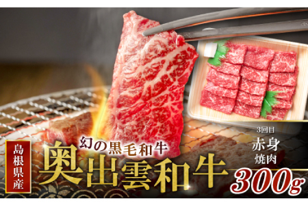 【冷蔵配送】全国大会W受賞！奥出雲和牛いろいろ定期便3回【エコノミー】（毎月20日お届け）【奥出雲和牛 和牛 定期便 3回 ブランド牛 黒毛和牛 赤身すき焼き肉 切り落とし肉 切り落とし 切り落し 切落し 赤身焼肉 贅沢 ご褒美 国産 チルド 冷蔵 贈り物 贈答 プレゼント 肉】