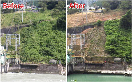 高知県香美市草刈り代行サービス 1日 草刈り 草刈 くさかり 草引き 除草作業 除草 お手入れ 代行 サービス
