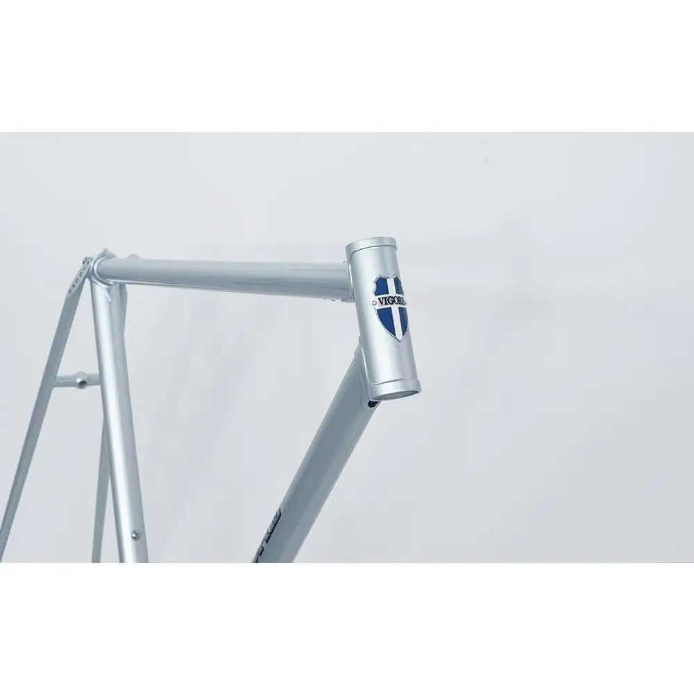 【高島屋選定品】【VIGORE】ラグ付きハンドメイド ロードバイク「70next」(フレーム＆フォーク）