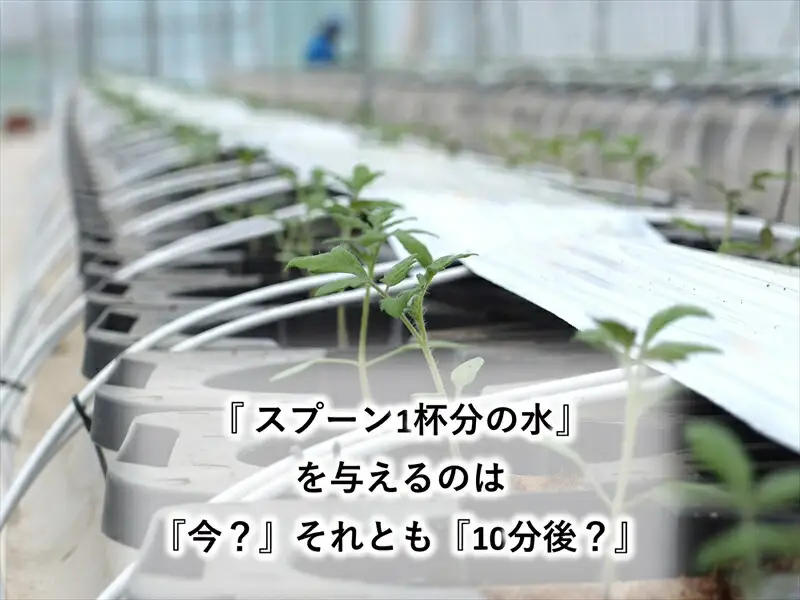 糖度14度ミニトマトジュース（490ml瓶 x 1本）　クラシックトマト『リスト』使用　野菜　生活　ジュース　飲料　ドリンク　信州　長野県【 トマトジュース 長野県 佐久市 】