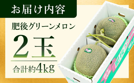 【先行予約】肥後グリーンメロン 約4kg(2玉入) メロン グリーンメロン フルーツ 熊本県産 【日本フルーツ株式会社】 [ZFJ004]