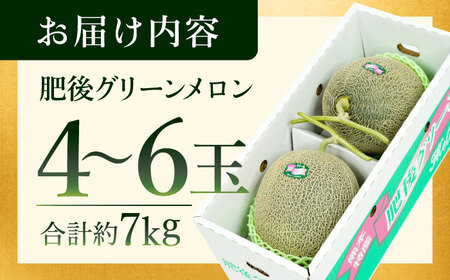 肥後グリーンメロン 約7kg(4～6玉入) メロン グリーンメロン フルーツ 熊本県産 【日本フルーツ株式会社】 [ZFJ006]