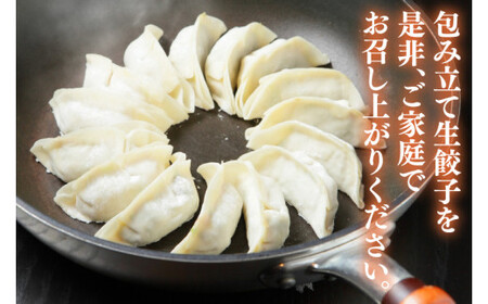 新琉流生餃子 計80個(20個入り×4パック) 