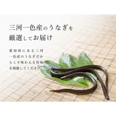 炭火手焼き☆三河一色産 ひつまぶし きざみうなぎ蒲焼  10人前【配送不可地域：離島】【1588975】