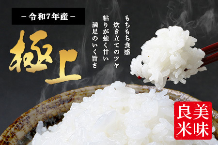 【 令和7年産米】多良木町産 ぴかまる 10kg (5kg×2袋) 令和7年10月下旬より順次発送 農家が食べる お米 米 白米 精米 甘みのある お米 有機 お米 065-0641