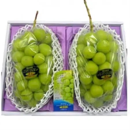 岡山県産 シャインマスカット『晴王』2房(1房480g以上) 化粧箱入り【配送不可地域：離島】【1546682】