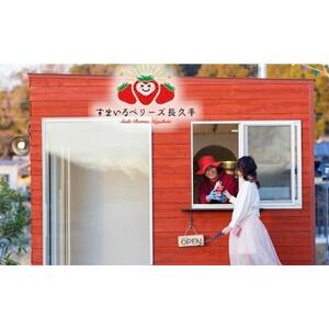 すまいるベリーズ長久手　利用券30,000円分［ すまいるベリーズ 長久手 利用券 30000円分 紅ほっぺ 章姫 ゆめのかカフェ スイーツ 人気 おすすめ ギフト プレゼント お取り寄せ 通販 送料無料 ふるさと納税 ］