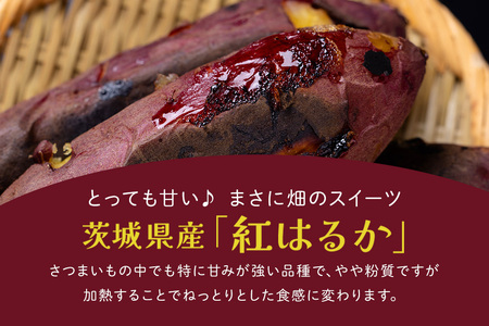 さつまいも専門店 ひじり のクリームブリュレ（べにはるか） 8個セット IW-012