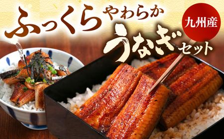 【全12回定期便】うなぎの蒲焼 約80g×5Pとひつまぶしの贅沢セット 桂川町/山水商事 [ADAH028] うなぎカット 刻み ひつまぶし
