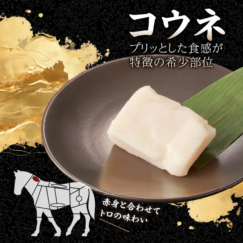 国産 馬刺し 赤身 コウネセット たれ付き 【ロース】 《福岡肥育》 600g、コウネ100g 【冷凍】 176-034