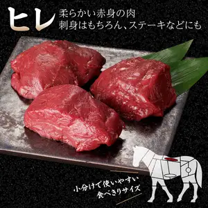 国産 馬刺し 赤身 たれ付き 【ヒレ】 《福岡肥育》 600g 【冷蔵】 176-029