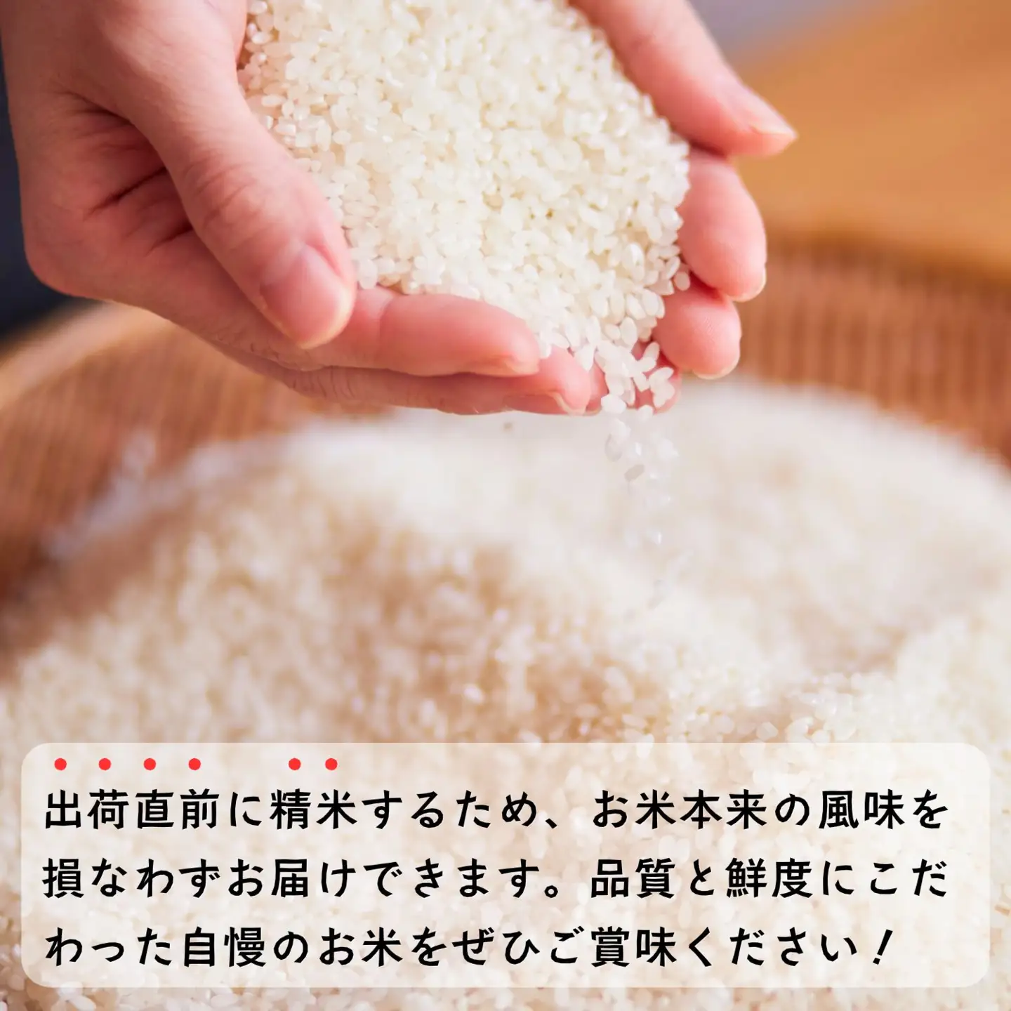 【令和8年新米予約】《定期便》＼ 2026年10月より3回 ／ 奥信濃飯山～木内ファームのお米～ 10kg×3回 合計30kg コシヒカリ｜長野県 飯山市 新米（Ca-058-10）