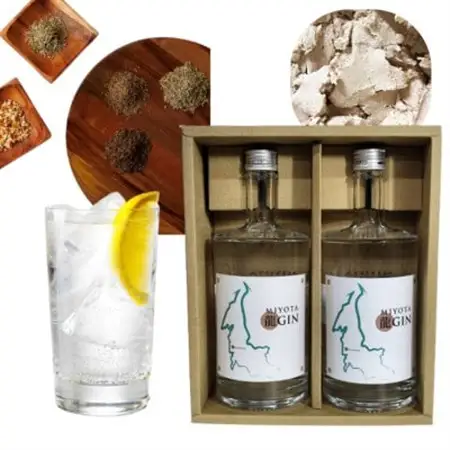 御代田町クラフトジン「MIYOTA 龍GIN」700ml×2本セット_酒・アルコール リキュール・洋酒  _【1597225】