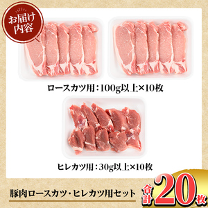 K-310 鹿児島県産 豚肉ロースカツ・ヒレカツ用(合計20枚セット)【TRINITY】霧島市 国産 冷凍 小分け 豚肉 ぶた ブタ 肉 ロース ヒレカツ セット