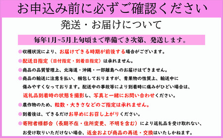 いちご とちおとめ 約250g×4パック 計1kg 小玉 いちご