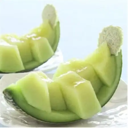 【生産量日本一】茨城県産 アールスメロン【特秀】1玉_果物・フルーツ メロン  めろん_【配送不可地域：離島・沖縄県】【1596627】