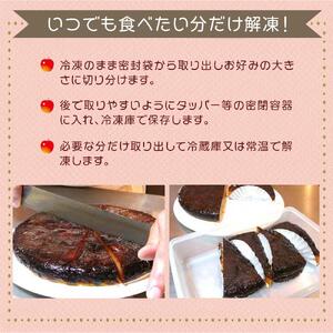 タタンおばさんのひっくり返した アップルパイ 【タルトタタン】 約18cm | スイーツ りんご 無添加 信州 長野 ご当地
