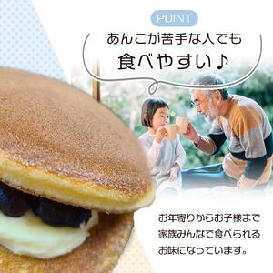 【一番人気「プレーン」一択】老舗どら焼き20個セット  人気 和菓子 どら焼き 長野県 大町市