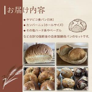 自家製酵母おたのしみパンセット80サイズ(10個前後) | パン 長野 信州