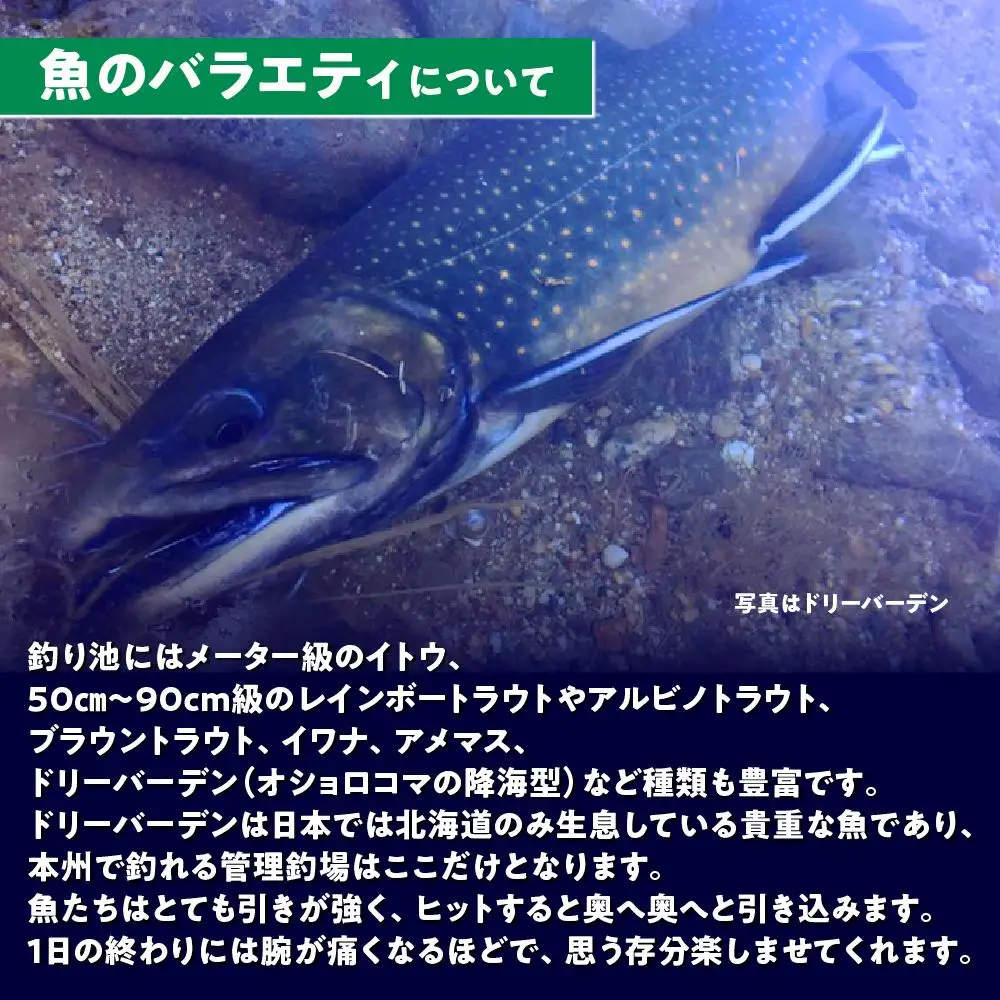 鹿島槍ガーデン釣りチケット引換券　大人男性1日券（1名様分） | つり アウトドア 長野 大町