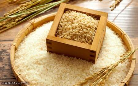 【精米（白米）】子育て応援米 【令和7年産】 奈義町産米 コシヒカリ 10kg （5kg×2袋）【2025年10月下旬～2026年9月下旬迄発送予定】 お米 米 岡山県