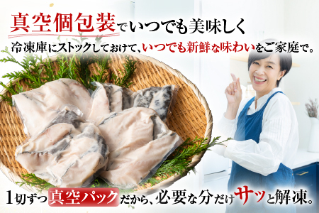 銀だら粕漬け4切(1切約110g)×2P A-11244