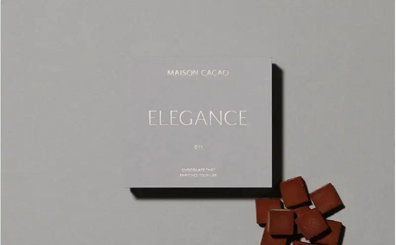 【ふるさと納税】MAISON CACAO メゾンカカオ アロマ生チョコレート 2種セット（16粒×2箱） ギフトボックス入 冷凍配送 神奈川県茅ヶ崎市