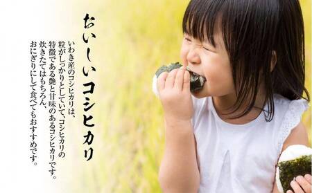 【契約農家直接仕入れ米8kg】福島県いわき市産「コシヒカリ」精米2kg×4袋 令和7年産 （おいしい炊き方ガイド付き） | 福島県産米 いわき市産米 東北 南東北 米どころ コシヒカリ 白米 精米済み 生米 契約農家直送 萬屋米店 炊きたて おにぎりにおすすめ ふるさと納税 福島米 粘りと甘み 冷めても美味しい | BB104