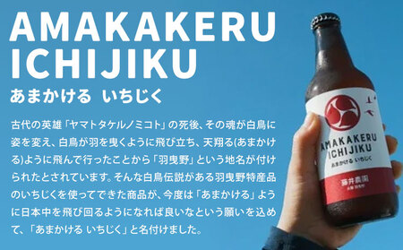 いちじくのクラフトビール 3本セット 330ml × 3本