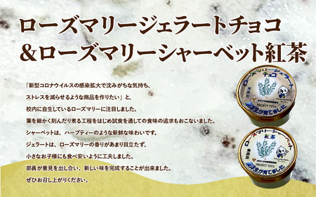 PROJECT TOYO アイスクリーム 6個 セット 東洋大学附属姫路高等学校