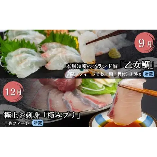 【 刺身 】 刺身定期便 4回